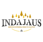 Indajaus