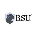 BSU Seguridad